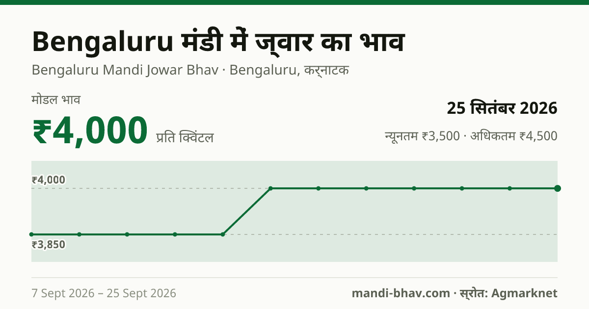 Bengaluru मंडी में ज्वार का भाव 25 सितंबर 2026: मोडल ₹4,000 प्रति क्विंटल, भाव के रुझान का चार्ट