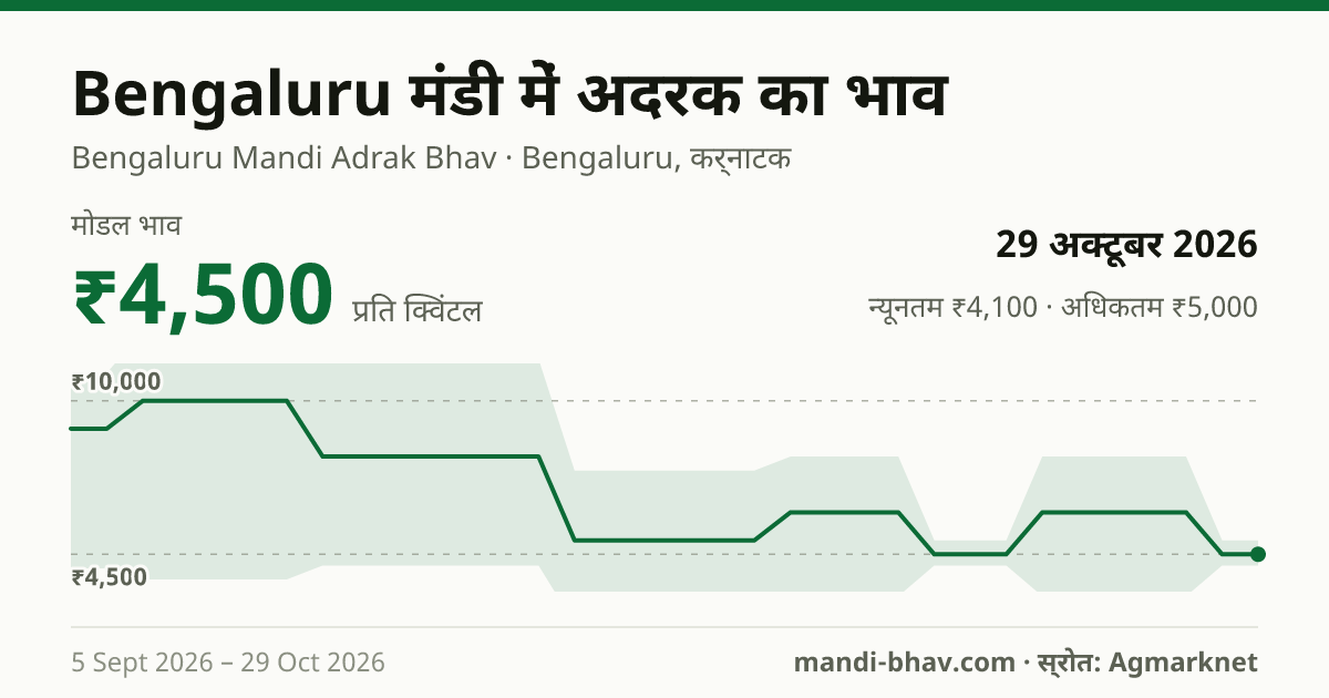 Bengaluru मंडी में अदरक का भाव 29 अक्टूबर 2026: मोडल ₹4,500 प्रति क्विंटल, भाव के रुझान का चार्ट