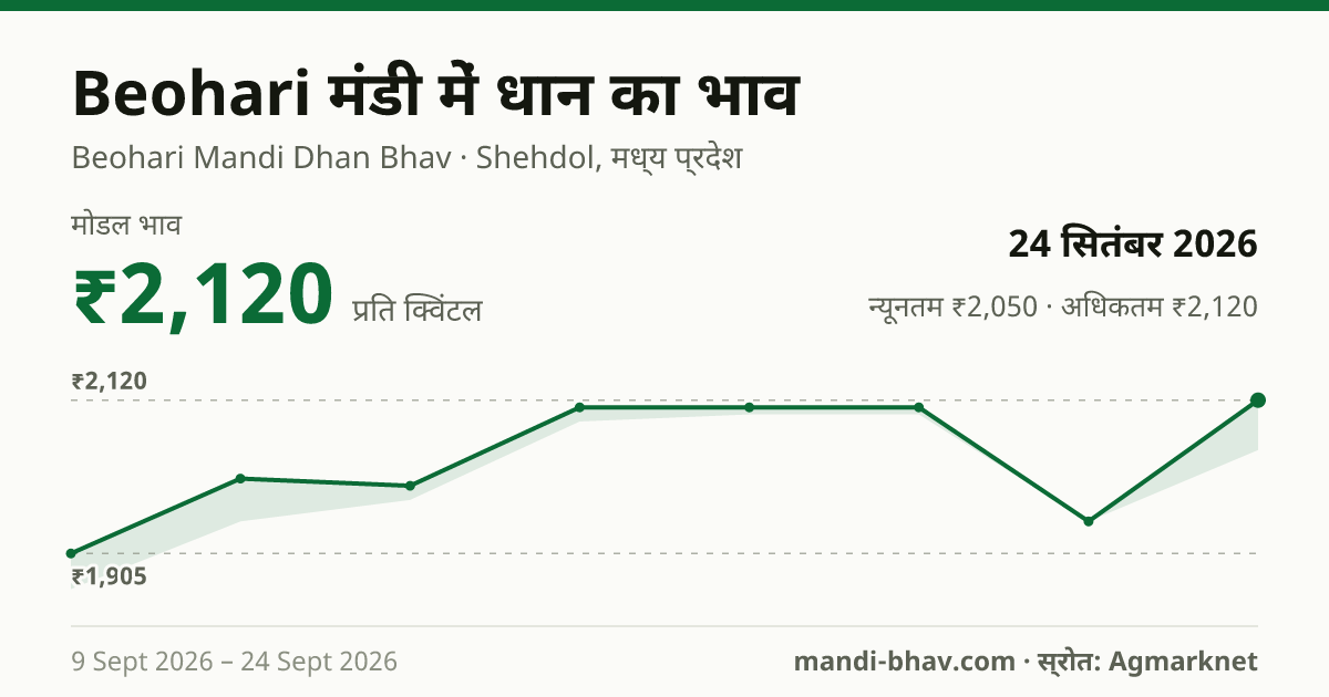 Beohari मंडी में धान का भाव 24 सितंबर 2026: मोडल ₹2,120 प्रति क्विंटल, भाव के रुझान का चार्ट