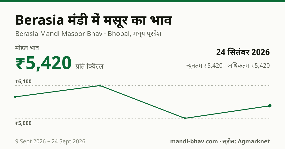 Berasia मंडी में मसूर का भाव 24 सितंबर 2026: मोडल ₹5,420 प्रति क्विंटल, भाव के रुझान का चार्ट