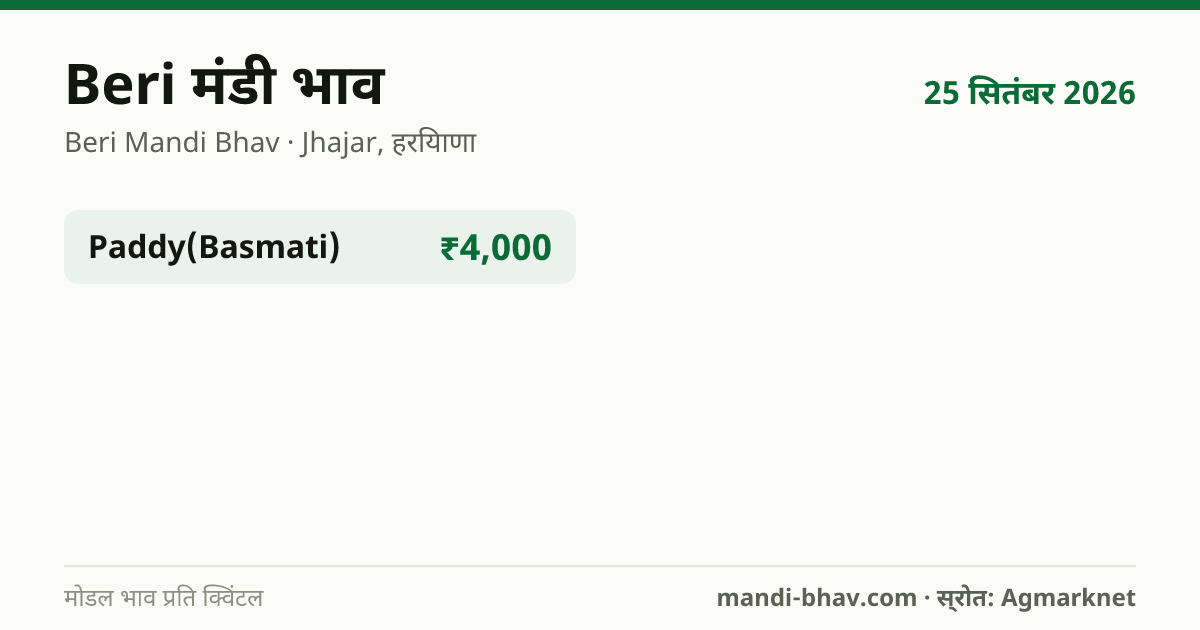 Beri मंडी भाव 25 सितंबर 2026: फसलवार मोडल रेट प्रति क्विंटल