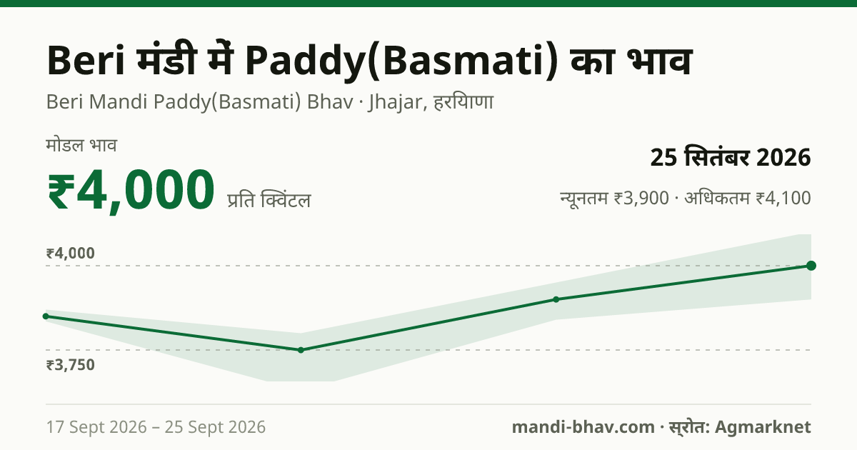 Beri मंडी में Paddy(Basmati) का भाव 25 सितंबर 2026: मोडल ₹4,000 प्रति क्विंटल, भाव के रुझान का चार्ट