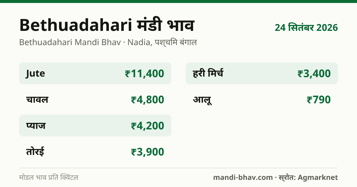 Bethuadahari मंडी भाव 24 सितंबर 2026: फसलवार मोडल रेट प्रति क्विंटल