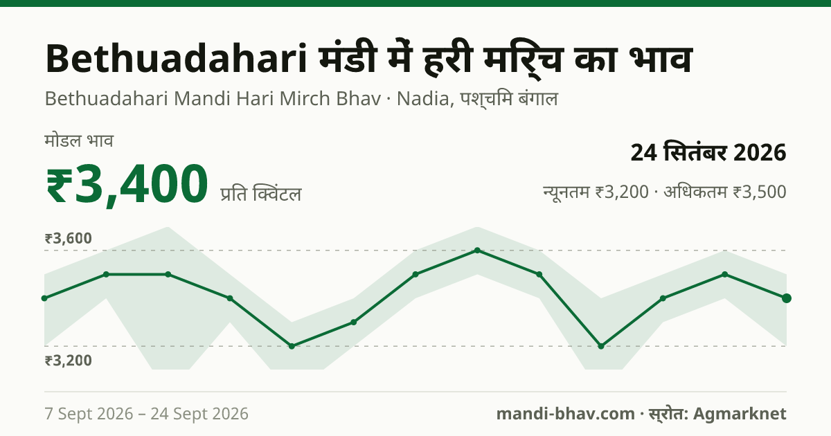 Bethuadahari मंडी में हरी मिर्च का भाव 24 सितंबर 2026: मोडल ₹3,400 प्रति क्विंटल, भाव के रुझान का चार्ट