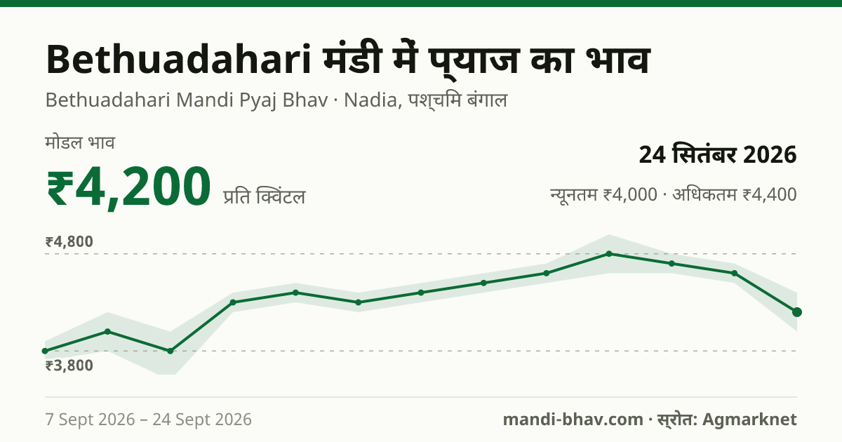 Bethuadahari मंडी में प्याज का भाव 24 सितंबर 2026: मोडल ₹4,200 प्रति क्विंटल, भाव के रुझान का चार्ट