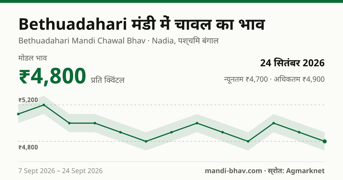 Bethuadahari मंडी में चावल का भाव 24 सितंबर 2026: मोडल ₹4,800 प्रति क्विंटल, भाव के रुझान का चार्ट