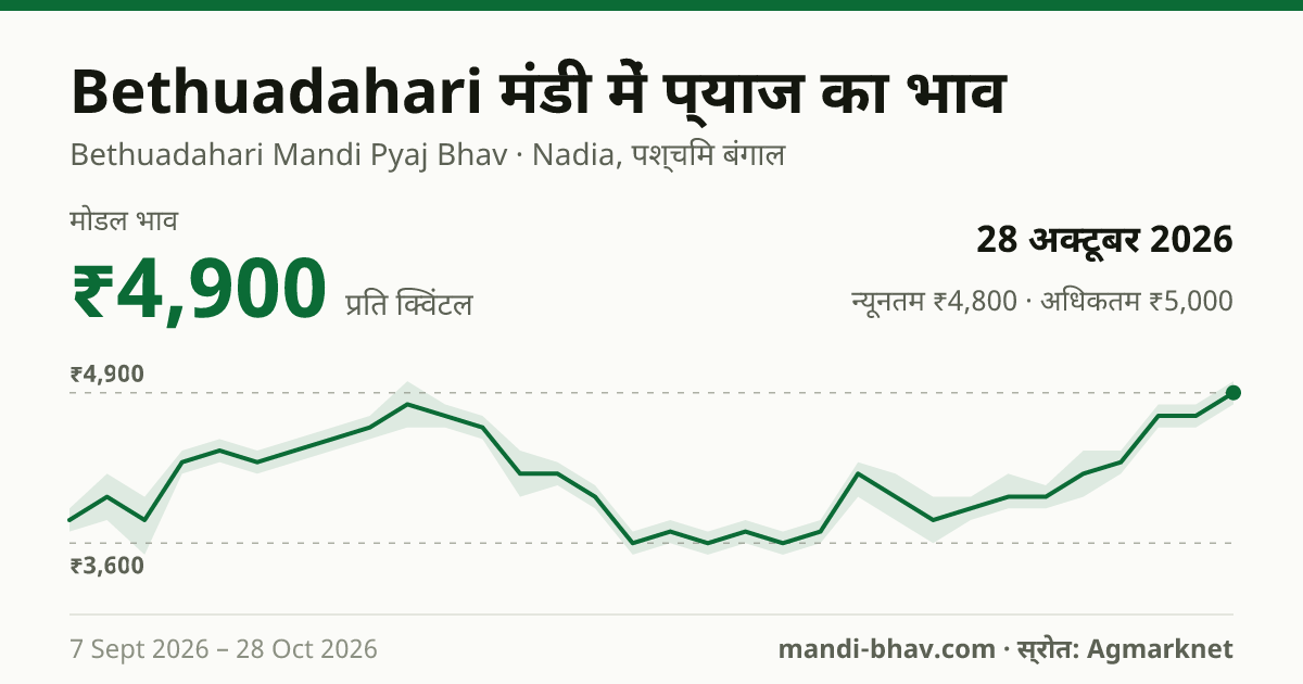 Bethuadahari मंडी में प्याज का भाव 28 अक्टूबर 2026: मोडल ₹4,900 प्रति क्विंटल, भाव के रुझान का चार्ट