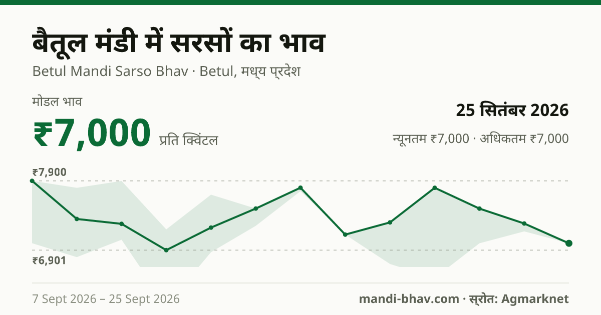 बैतूल मंडी में सरसों का भाव 25 सितंबर 2026: मोडल ₹7,000 प्रति क्विंटल, भाव के रुझान का चार्ट