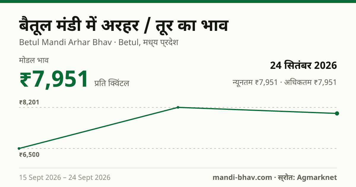 बैतूल मंडी में अरहर / तूर का भाव 24 सितंबर 2026: मोडल ₹7,951 प्रति क्विंटल, भाव के रुझान का चार्ट