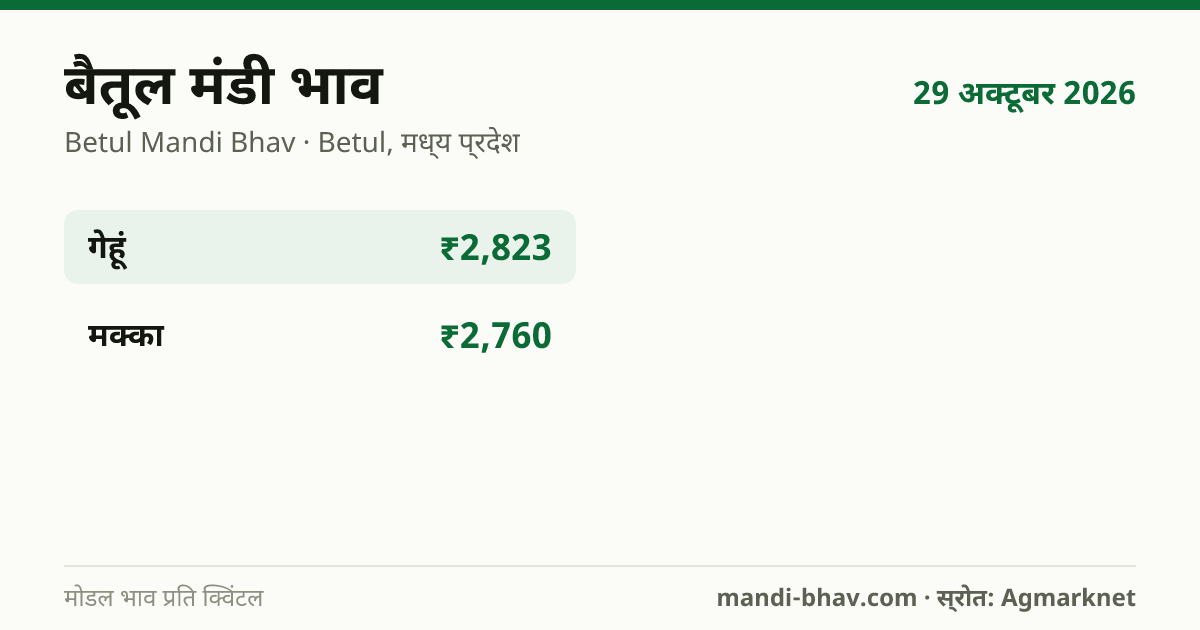 बैतूल मंडी भाव 29 अक्टूबर 2026: फसलवार मोडल रेट प्रति क्विंटल