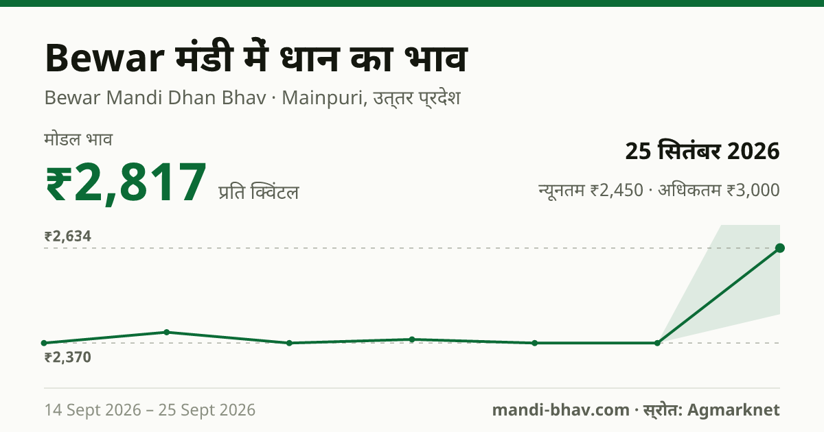 Bewar मंडी में धान का भाव 25 सितंबर 2026: मोडल ₹2,817 प्रति क्विंटल, भाव के रुझान का चार्ट