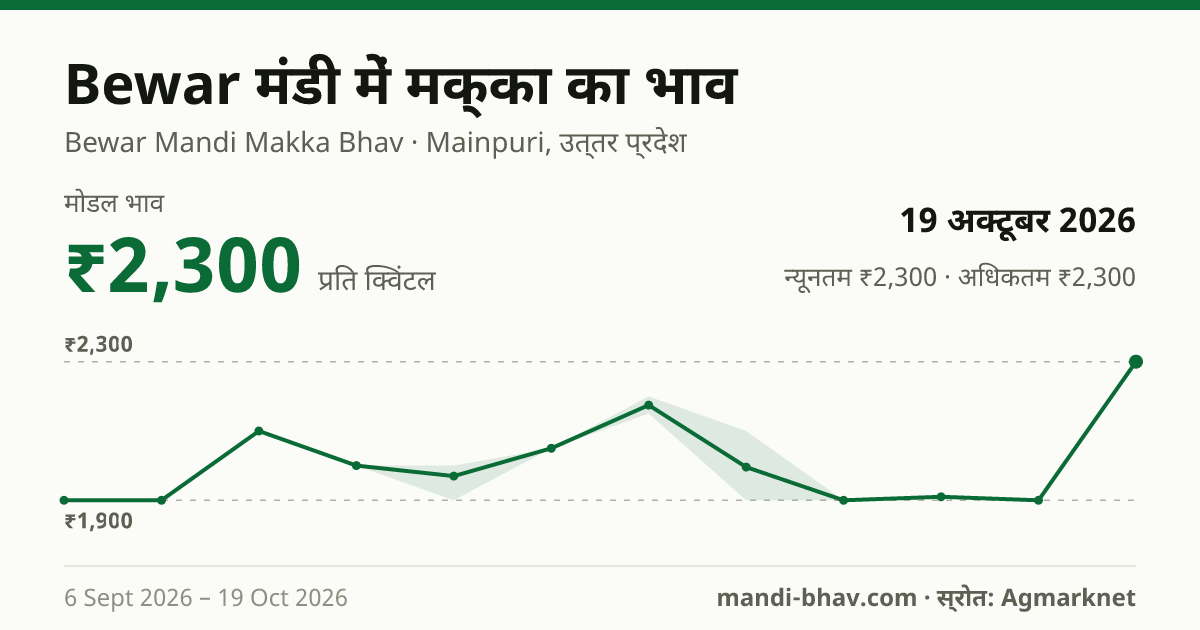 Bewar मंडी में मक्का का भाव 19 अक्टूबर 2026: मोडल ₹2,300 प्रति क्विंटल, भाव के रुझान का चार्ट