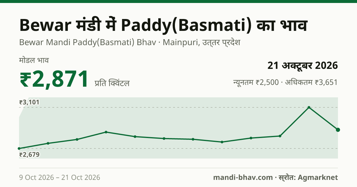 Bewar मंडी में Paddy(Basmati) का भाव 21 अक्टूबर 2026: मोडल ₹2,871 प्रति क्विंटल, भाव के रुझान का चार्ट