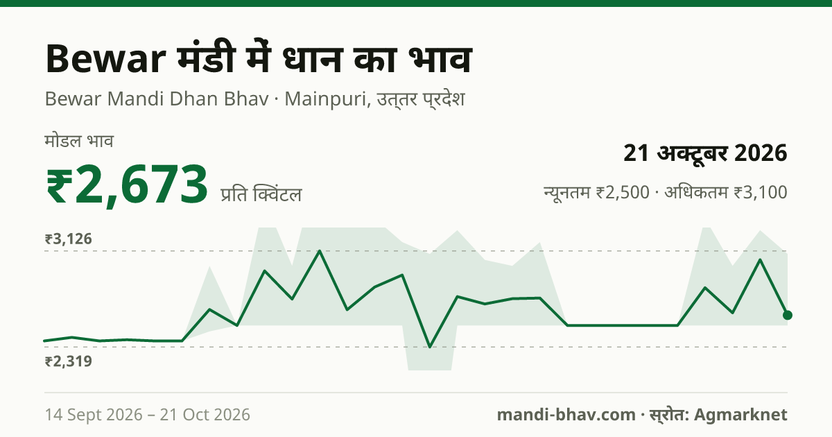 Bewar मंडी में धान का भाव 21 अक्टूबर 2026: मोडल ₹2,673 प्रति क्विंटल, भाव के रुझान का चार्ट