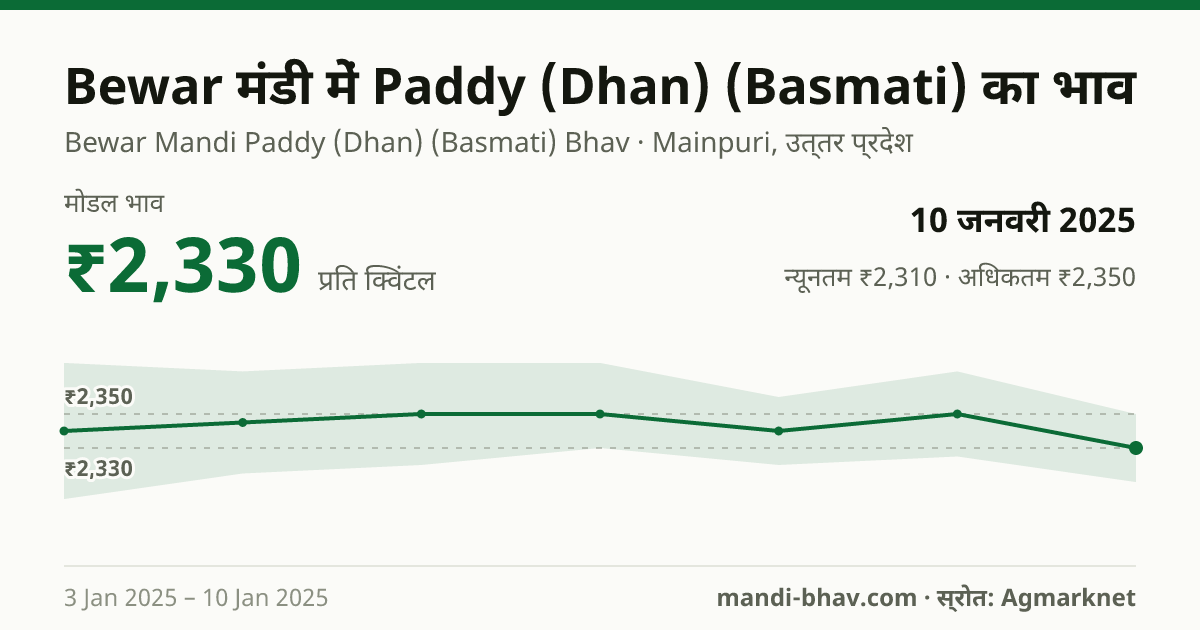 Bewar मंडी में Paddy (Dhan) (Basmati) का भाव 10 जनवरी 2025: मोडल ₹2,330 प्रति क्विंटल, भाव के रुझान का चार्ट
