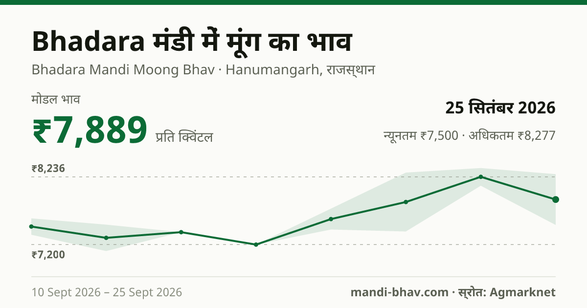 Bhadara मंडी में मूंग का भाव 25 सितंबर 2026: मोडल ₹7,889 प्रति क्विंटल, भाव के रुझान का चार्ट