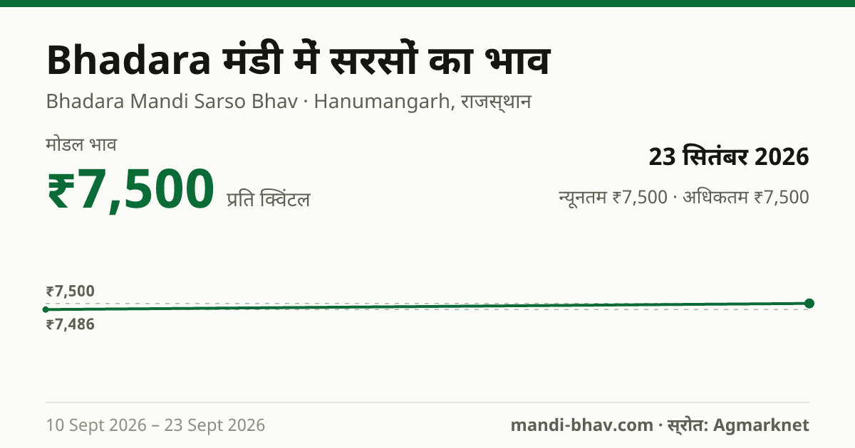 Bhadara मंडी में सरसों का भाव 23 सितंबर 2026: मोडल ₹7,500 प्रति क्विंटल, भाव के रुझान का चार्ट