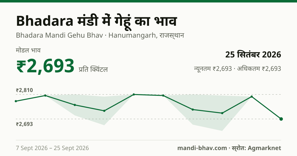 Bhadara मंडी में गेहूं का भाव 25 सितंबर 2026: मोडल ₹2,693 प्रति क्विंटल, भाव के रुझान का चार्ट