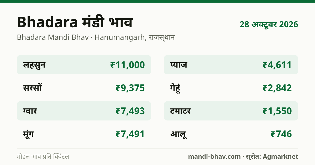 Bhadara मंडी भाव 28 अक्टूबर 2026: फसलवार मोडल रेट प्रति क्विंटल