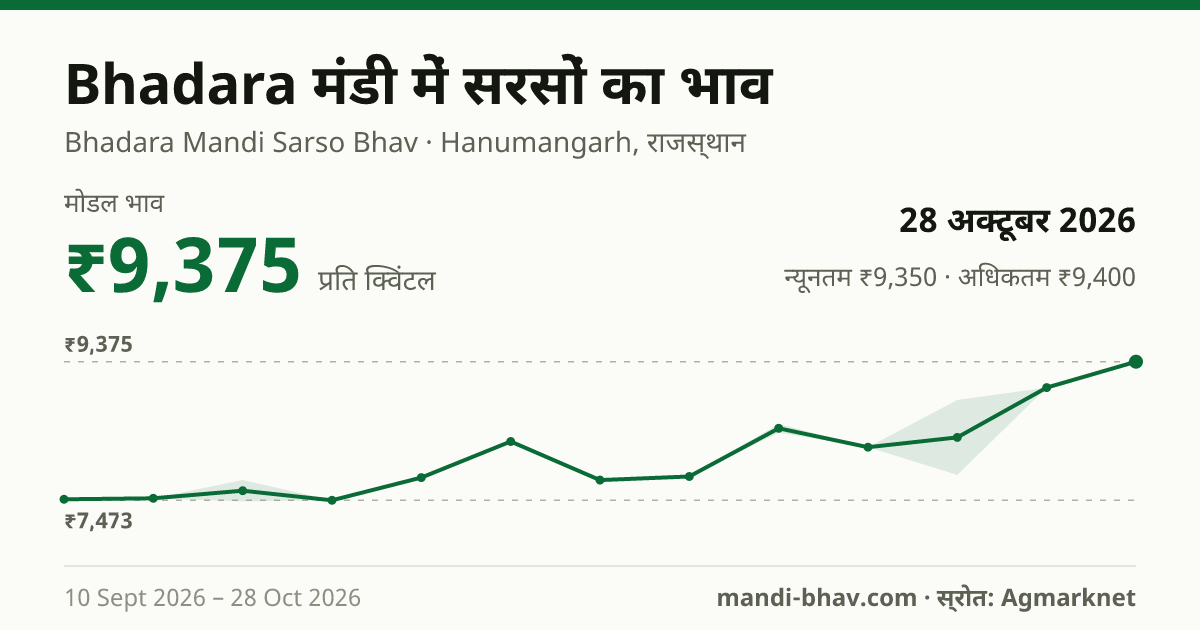 Bhadara मंडी में सरसों का भाव 28 अक्टूबर 2026: मोडल ₹9,375 प्रति क्विंटल, भाव के रुझान का चार्ट