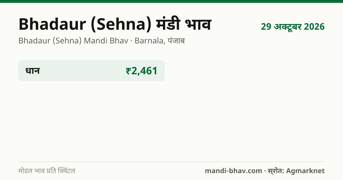 Bhadaur (Sehna) मंडी भाव 29 अक्टूबर 2026: फसलवार मोडल रेट प्रति क्विंटल