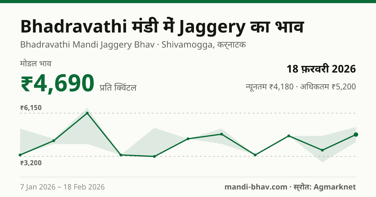 Bhadravathi मंडी में Jaggery का भाव 18 फ़रवरी 2026: मोडल ₹4,690 प्रति क्विंटल, भाव के रुझान का चार्ट