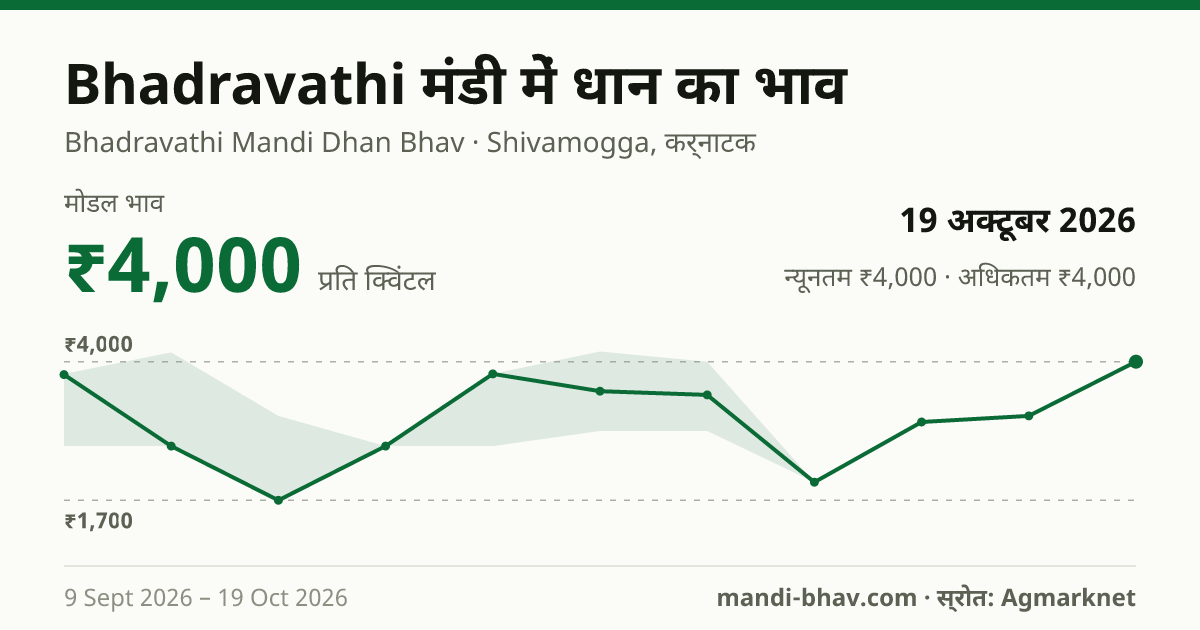 Bhadravathi मंडी में धान का भाव 19 अक्टूबर 2026: मोडल ₹4,000 प्रति क्विंटल, भाव के रुझान का चार्ट