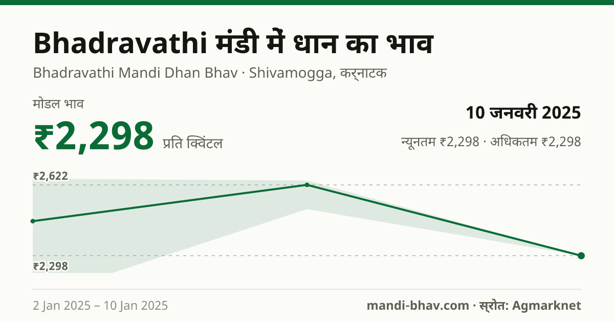 Bhadravathi मंडी में धान का भाव 10 जनवरी 2025: मोडल ₹2,298 प्रति क्विंटल, भाव के रुझान का चार्ट