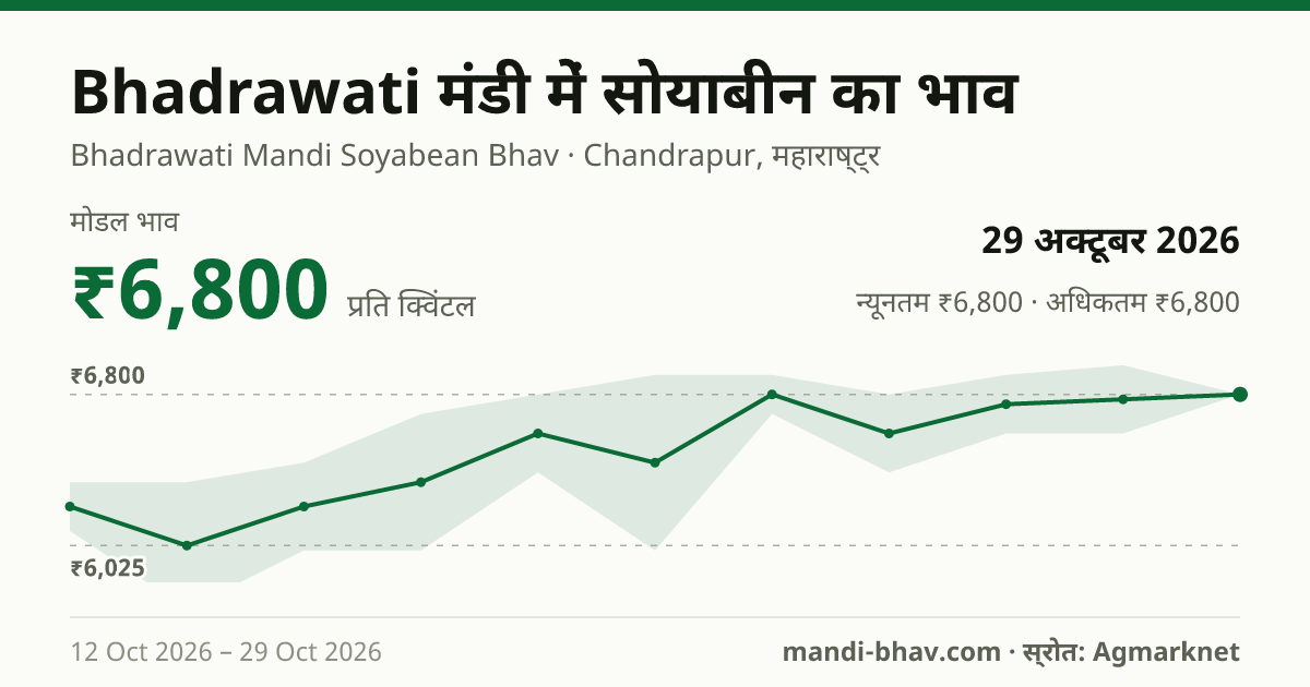 Bhadrawati मंडी में सोयाबीन का भाव 29 अक्टूबर 2026: मोडल ₹6,800 प्रति क्विंटल, भाव के रुझान का चार्ट