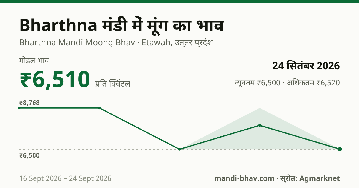 Bharthna मंडी में मूंग का भाव 24 सितंबर 2026: मोडल ₹6,510 प्रति क्विंटल, भाव के रुझान का चार्ट