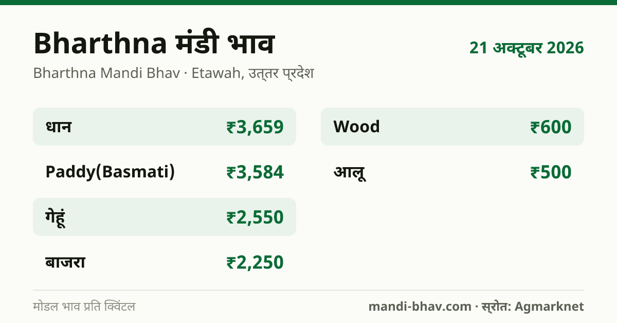 Bharthna मंडी भाव 21 अक्टूबर 2026: फसलवार मोडल रेट प्रति क्विंटल