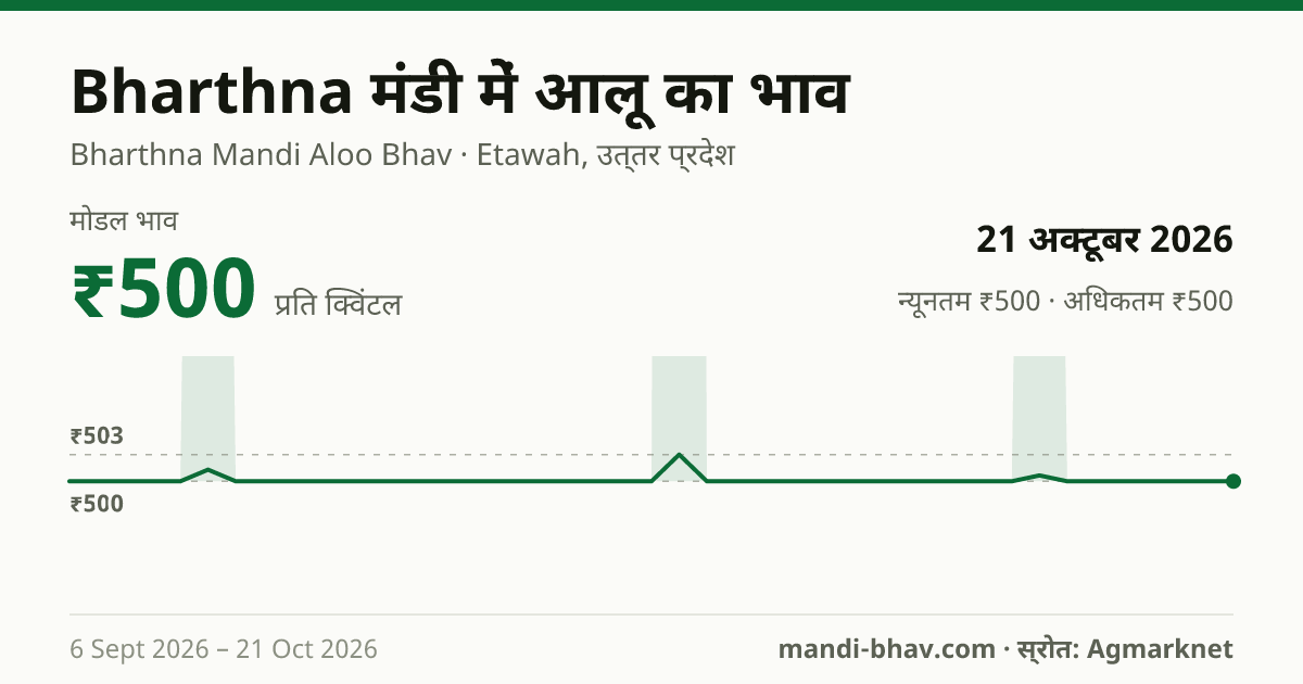 Bharthna मंडी में आलू का भाव 21 अक्टूबर 2026: मोडल ₹500 प्रति क्विंटल, भाव के रुझान का चार्ट