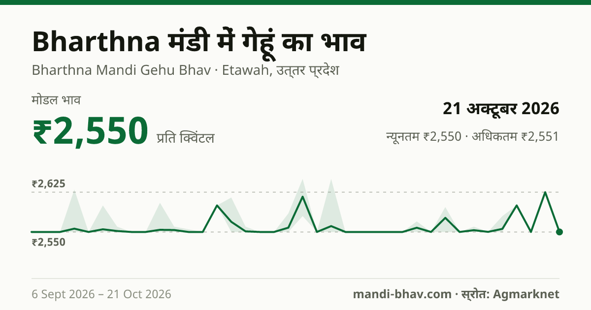 Bharthna मंडी में गेहूं का भाव 21 अक्टूबर 2026: मोडल ₹2,550 प्रति क्विंटल, भाव के रुझान का चार्ट
