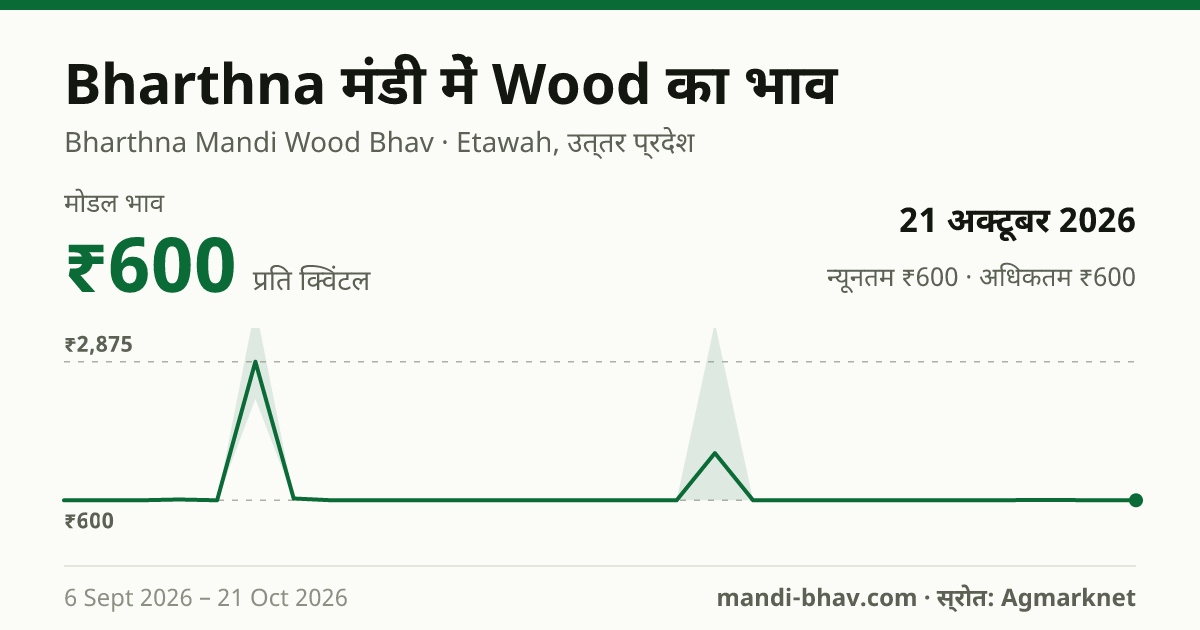 Bharthna मंडी में Wood का भाव 21 अक्टूबर 2026: मोडल ₹600 प्रति क्विंटल, भाव के रुझान का चार्ट