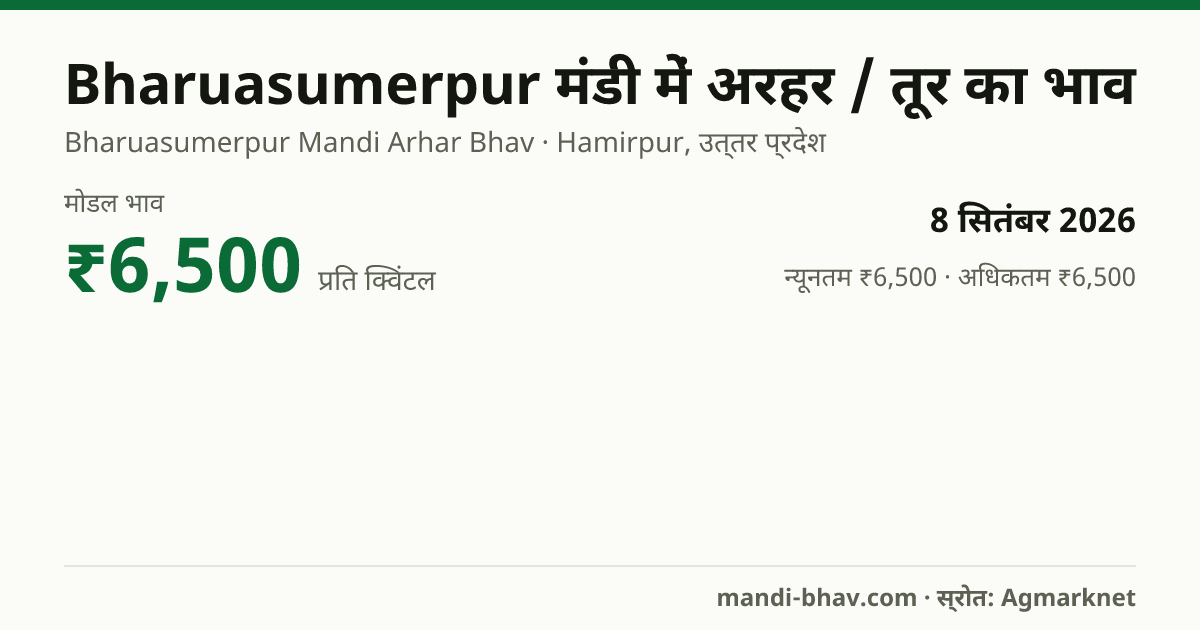Bharuasumerpur मंडी में अरहर / तूर का भाव 8 सितंबर 2026: मोडल ₹6,500 प्रति क्विंटल, भाव के रुझान का चार्ट