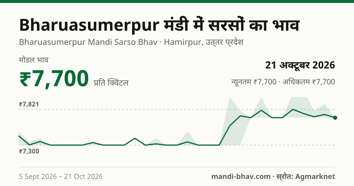 Bharuasumerpur मंडी में सरसों का भाव 21 अक्टूबर 2026: मोडल ₹7,700 प्रति क्विंटल, भाव के रुझान का चार्ट