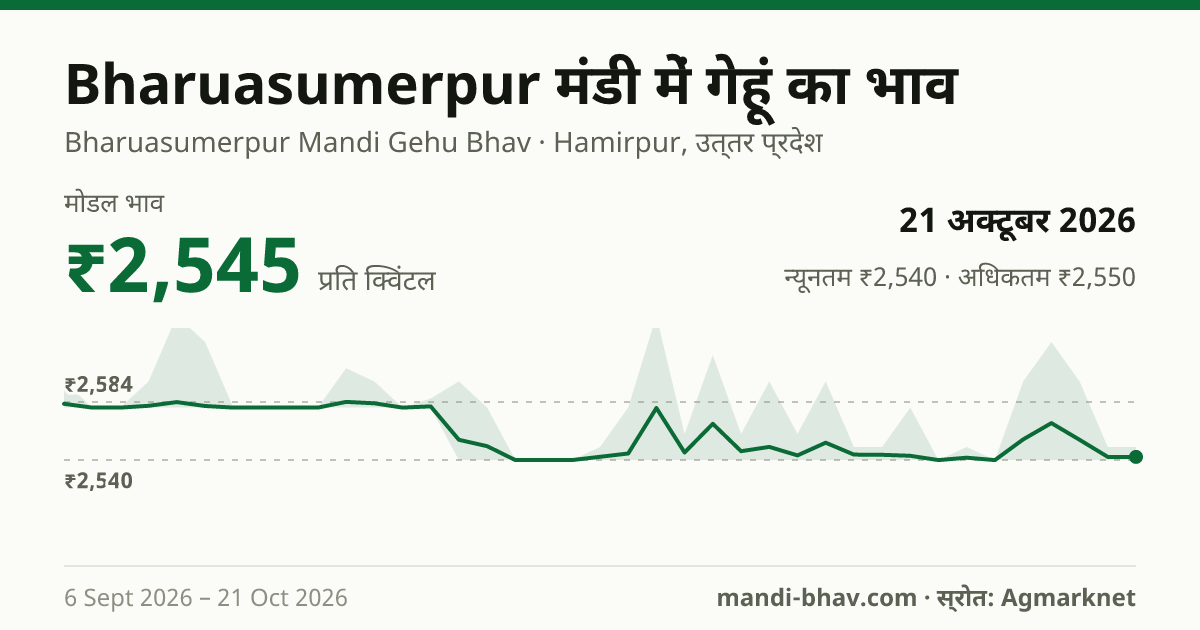 Bharuasumerpur मंडी में गेहूं का भाव 21 अक्टूबर 2026: मोडल ₹2,545 प्रति क्विंटल, भाव के रुझान का चार्ट