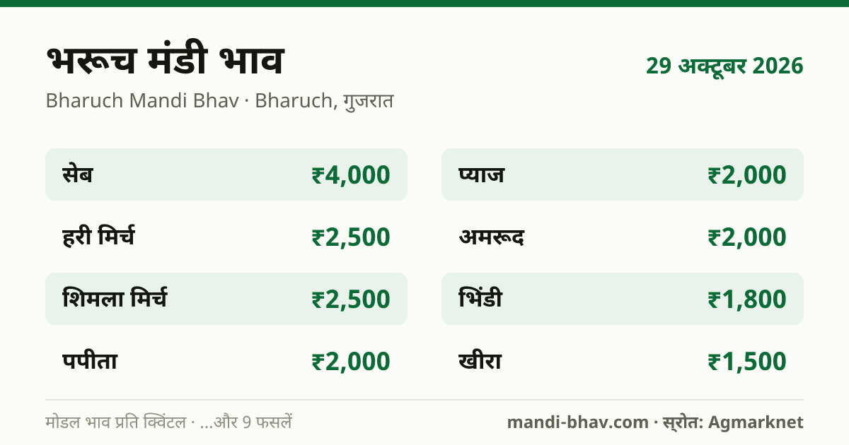 भरूच मंडी भाव 29 अक्टूबर 2026: फसलवार मोडल रेट प्रति क्विंटल