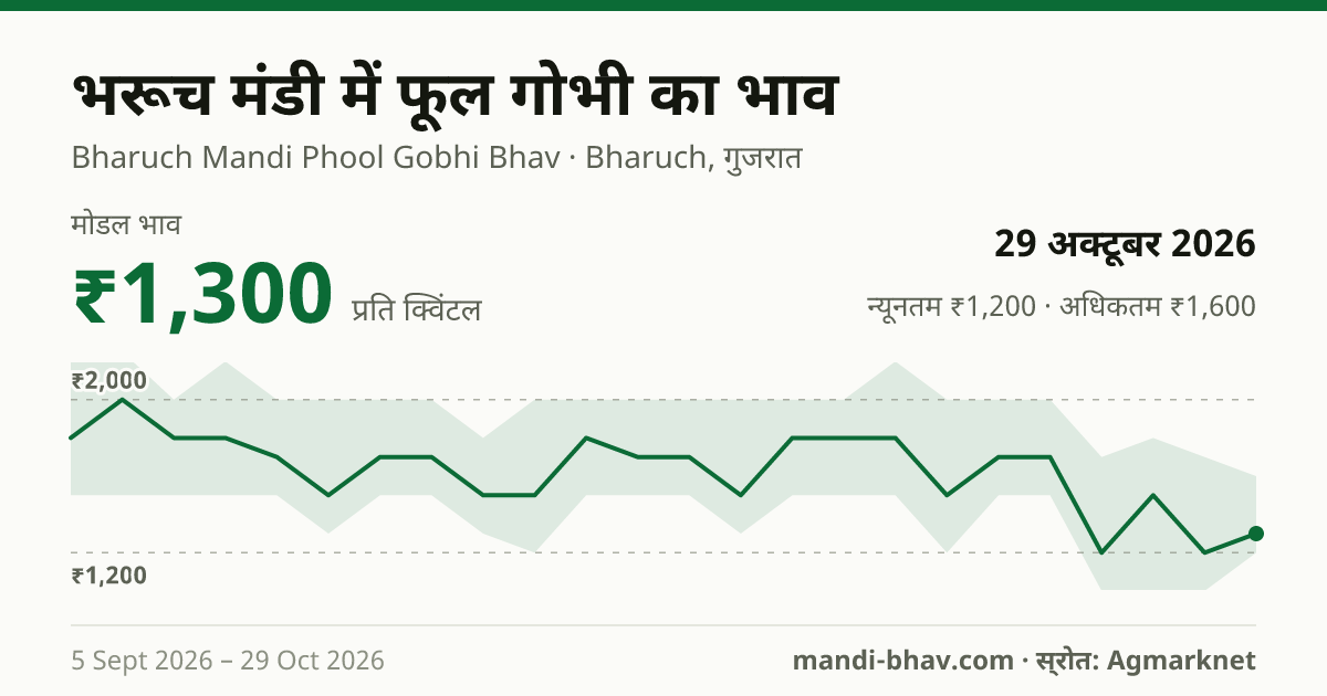भरूच मंडी में फूल गोभी का भाव 29 अक्टूबर 2026: मोडल ₹1,300 प्रति क्विंटल, भाव के रुझान का चार्ट