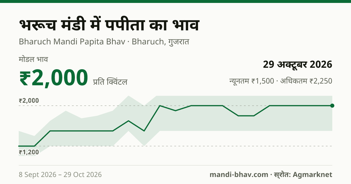 भरूच मंडी में पपीता का भाव 29 अक्टूबर 2026: मोडल ₹2,000 प्रति क्विंटल, भाव के रुझान का चार्ट