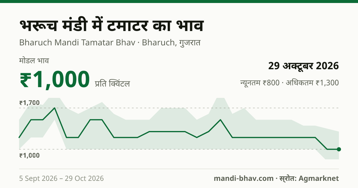 भरूच मंडी में टमाटर का भाव 29 अक्टूबर 2026: मोडल ₹1,000 प्रति क्विंटल, भाव के रुझान का चार्ट