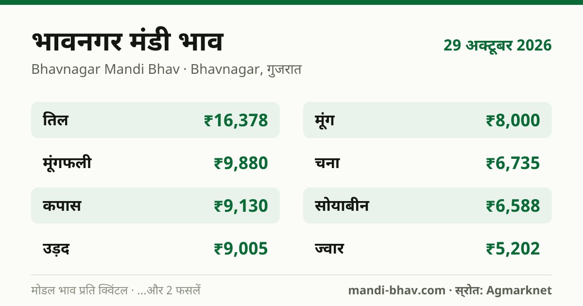 भावनगर मंडी भाव 29 अक्टूबर 2026: फसलवार मोडल रेट प्रति क्विंटल