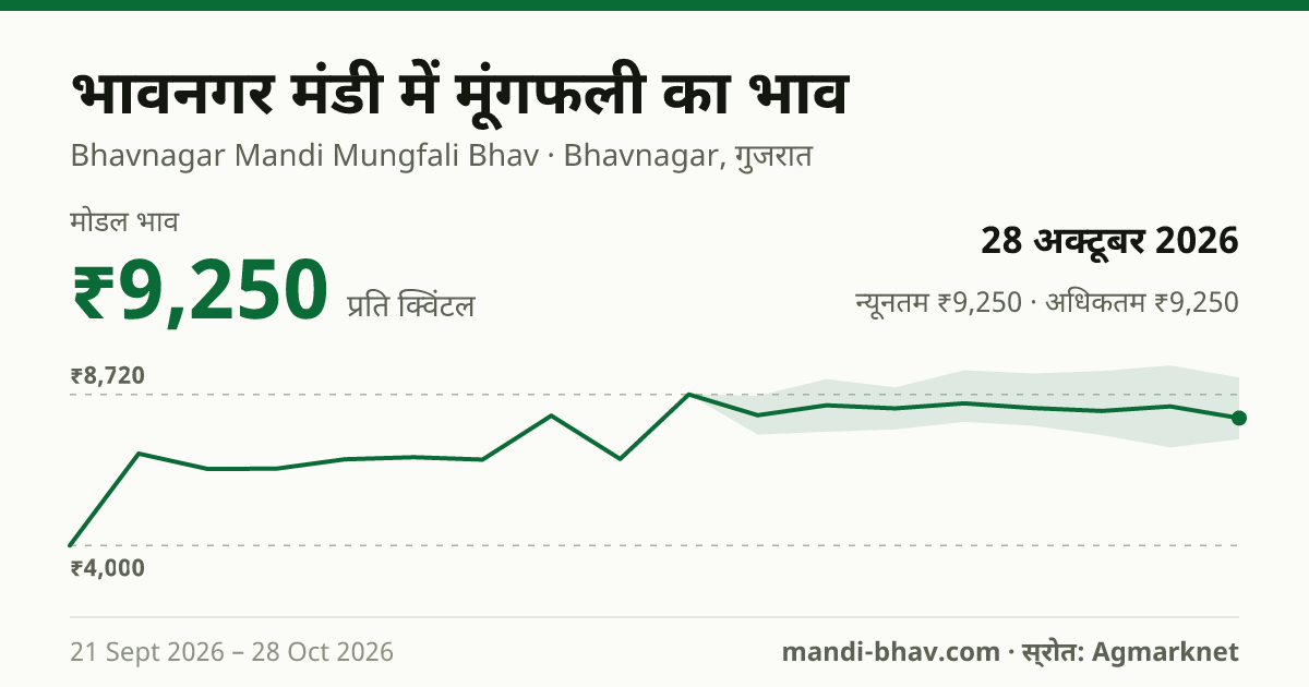 भावनगर मंडी में मूंगफली का भाव 28 अक्टूबर 2026: मोडल ₹9,250 प्रति क्विंटल, भाव के रुझान का चार्ट