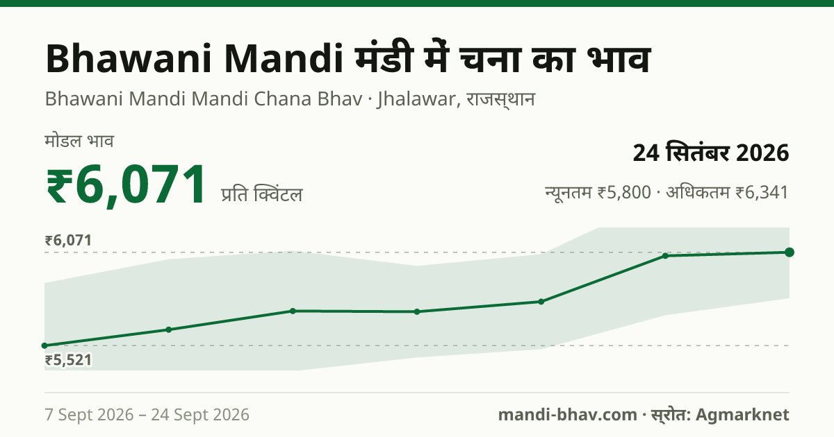 Bhawani Mandi मंडी में चना का भाव 24 सितंबर 2026: मोडल ₹6,071 प्रति क्विंटल, भाव के रुझान का चार्ट
