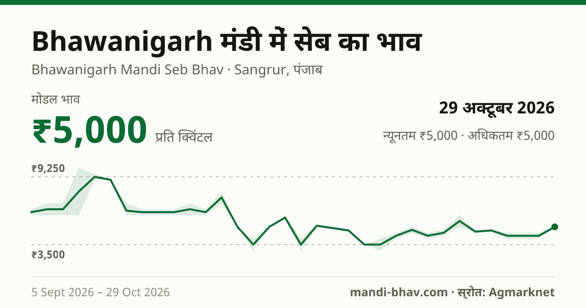 Bhawanigarh मंडी में सेब का भाव 29 अक्टूबर 2026: मोडल ₹5,000 प्रति क्विंटल, भाव के रुझान का चार्ट