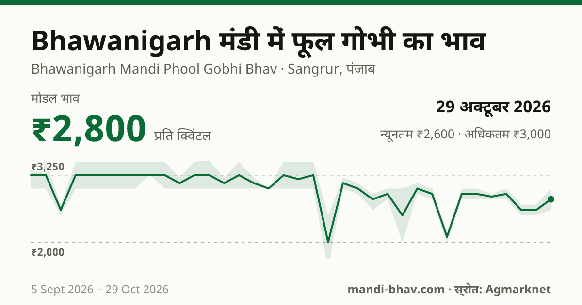 Bhawanigarh मंडी में फूल गोभी का भाव 29 अक्टूबर 2026: मोडल ₹2,800 प्रति क्विंटल, भाव के रुझान का चार्ट