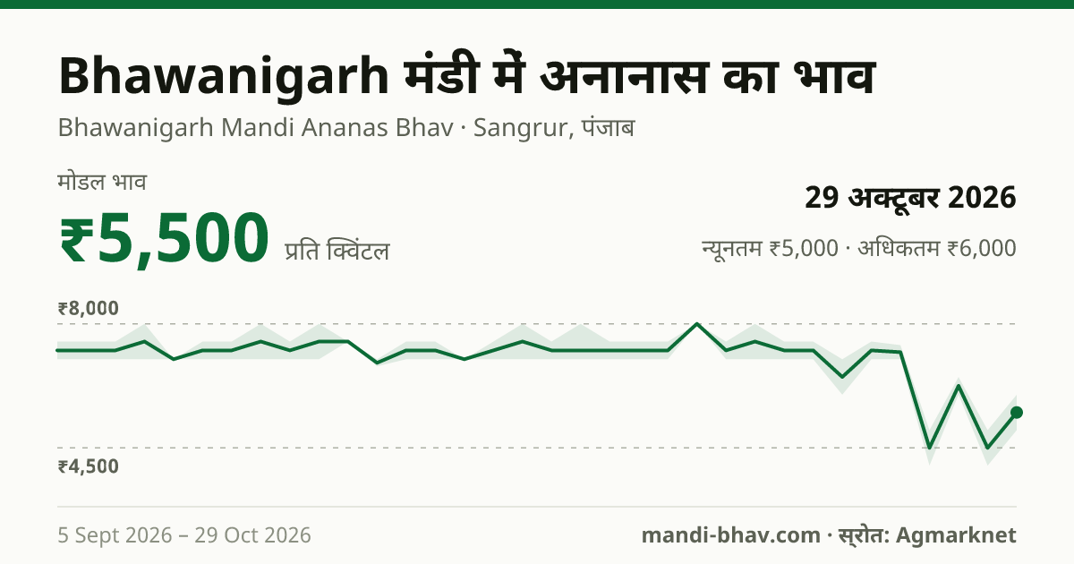 Bhawanigarh मंडी में अनानास का भाव 29 अक्टूबर 2026: मोडल ₹5,500 प्रति क्विंटल, भाव के रुझान का चार्ट