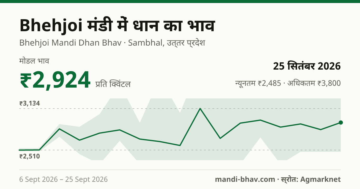 Bhehjoi मंडी में धान का भाव 25 सितंबर 2026: मोडल ₹2,924 प्रति क्विंटल, भाव के रुझान का चार्ट