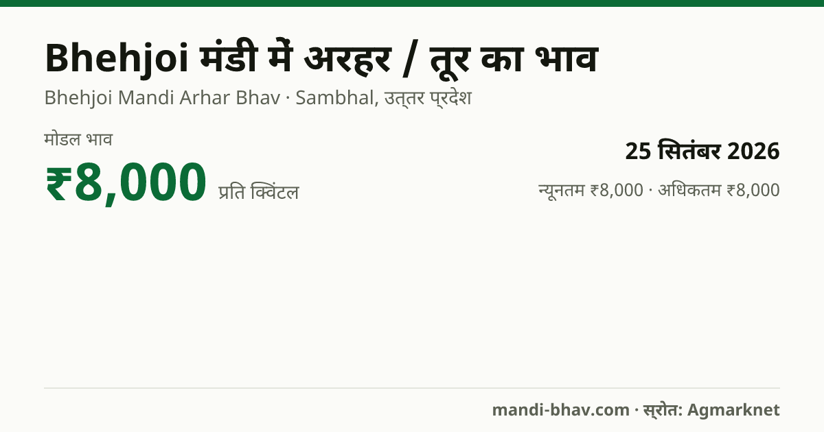 Bhehjoi मंडी में अरहर / तूर का भाव 25 सितंबर 2026: मोडल ₹8,000 प्रति क्विंटल, भाव के रुझान का चार्ट