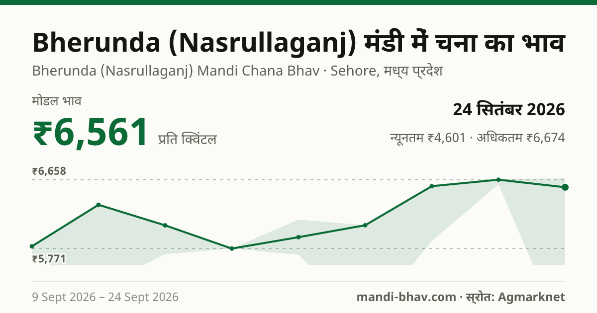Bherunda (Nasrullaganj) मंडी में चना का भाव 24 सितंबर 2026: मोडल ₹6,561 प्रति क्विंटल, भाव के रुझान का चार्ट